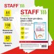 Бумага белая А4, 80 г/м2, 100 л., STAFF 'СТАНДАРТ', СТУДЕНЧЕСКАЯ, Россия, 146% (CIE), 115351