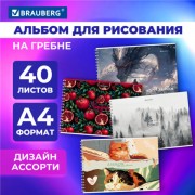 Альбом для рисования А4 40 листов, гребень, обложка картон, BRAUBERG, 203х288мм, МИКС, 107118