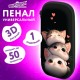 Пенал ЮНЛАНДИЯ, 1 отделение, карман, полиэстер / EVA, 22х10х5 см, 'Fluffy cats', 274556