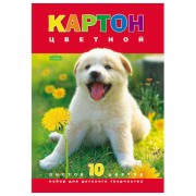 Картон цветной А4 МЕЛОВАННЫЙ, 10 листов 10 цветов, в папке, HATBER ECO, 195х290 мм, 'Белый щенок', 043288, 10Кц4_03414