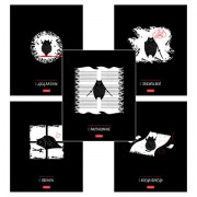 Тетрадь обложка пластик, А5 48л. скоба, клетка, HATBER, 'Кот-самурай' (микс в спайке), 091461, 48Т5В1пл