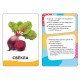 Карточки развивающие 'Овощи, фрукты, ягоды', Котятова Н.И., Росмэн, 20988