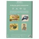 Папка для акварели А4, 20 л., 200 г/м2, 210х297 мм, BRAUBERG АКАДЕМИЯ, 'Оленёнок', 117746