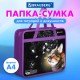 Папка на молнии с ручками BRAUBERG А4, 1 отделение, пластик, 80 мм, 'Dream cat', 270868