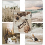 Тетради ДЭК А5 48 л. КОМПЛЕКТ 5 шт. BRAUBERG, скоба, клетка, SoftTouch, 'ESTHETICS', 404929