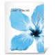 Фотоальбом BRAUBERG на 36 фото 10х15 см, мягкая обложка, 'Цветы', белый с рисунком ассорти, 390654